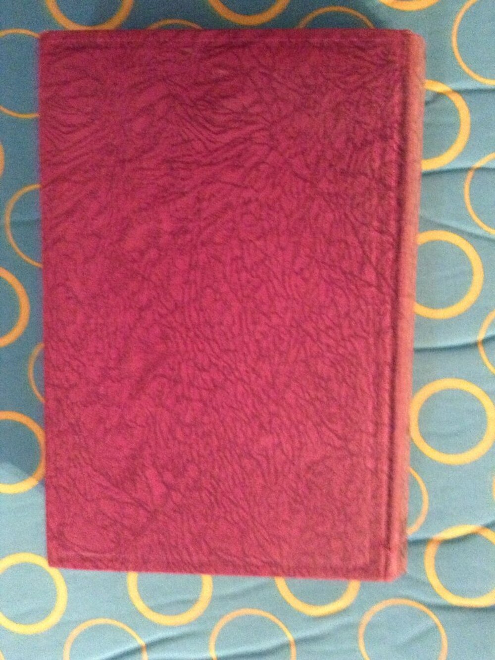 ORIGINAL Egyptian Portrait (1930) by C. W. Grundy Vintage 1930s '30s Novel